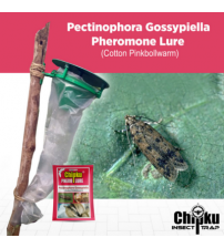 Chipku Pheromone Funnel Trap with Pink Bollworm Lure (Combo Pack of 10)